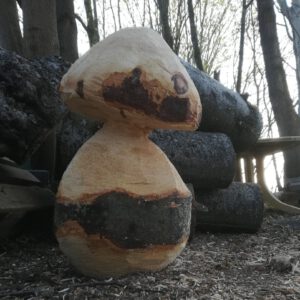 PILZ